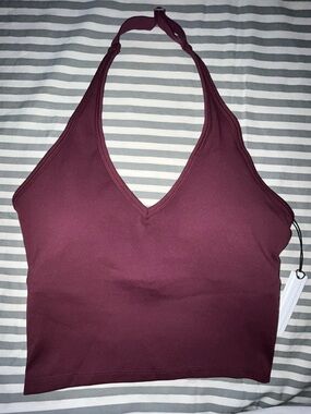 Paragon Fitwear Reluna Max Out Brami in Fig Size M